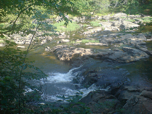 &quot;Eno River State Park, NC.&quot; Eno State Park was the home of the Eno Indians. Photo courtesy of Flikr user airborneshodan, uploaded on June 7, 2008. 