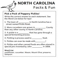 NC Fun Facts and Word Games 